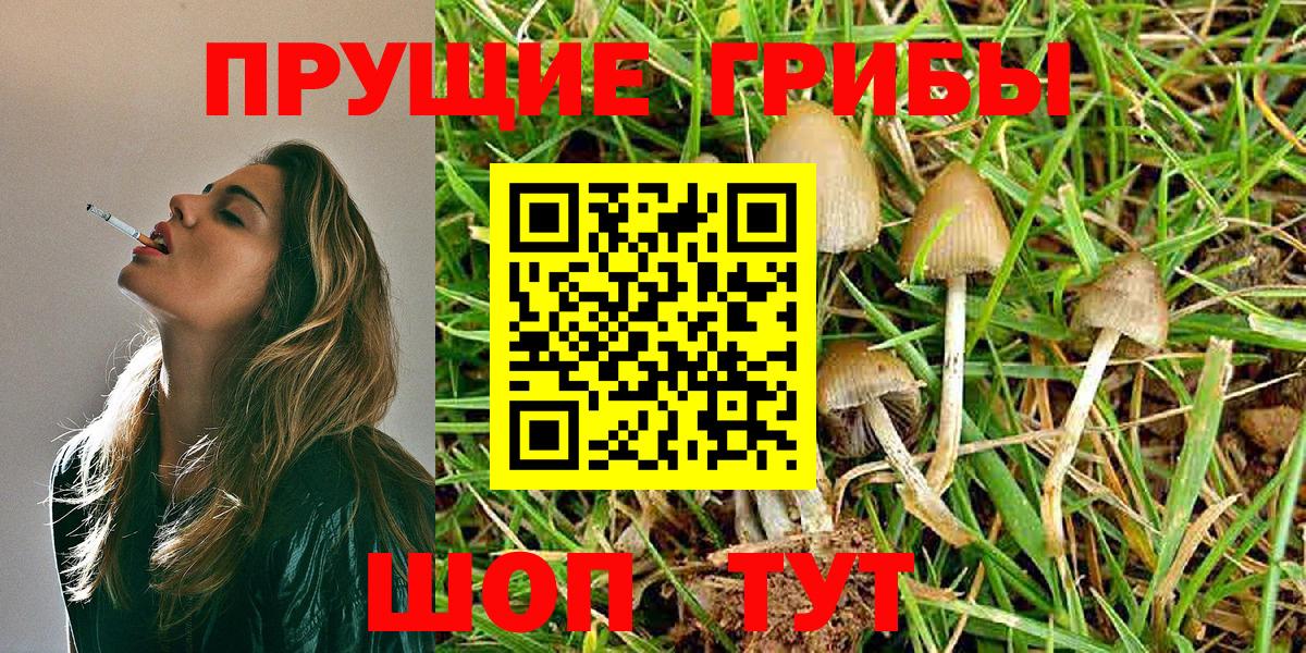 Псилоцибиновые грибы Magic Shrooms  Вход с VPN  Псилоцибиновые грибы Psilocybe  Ярославль 
